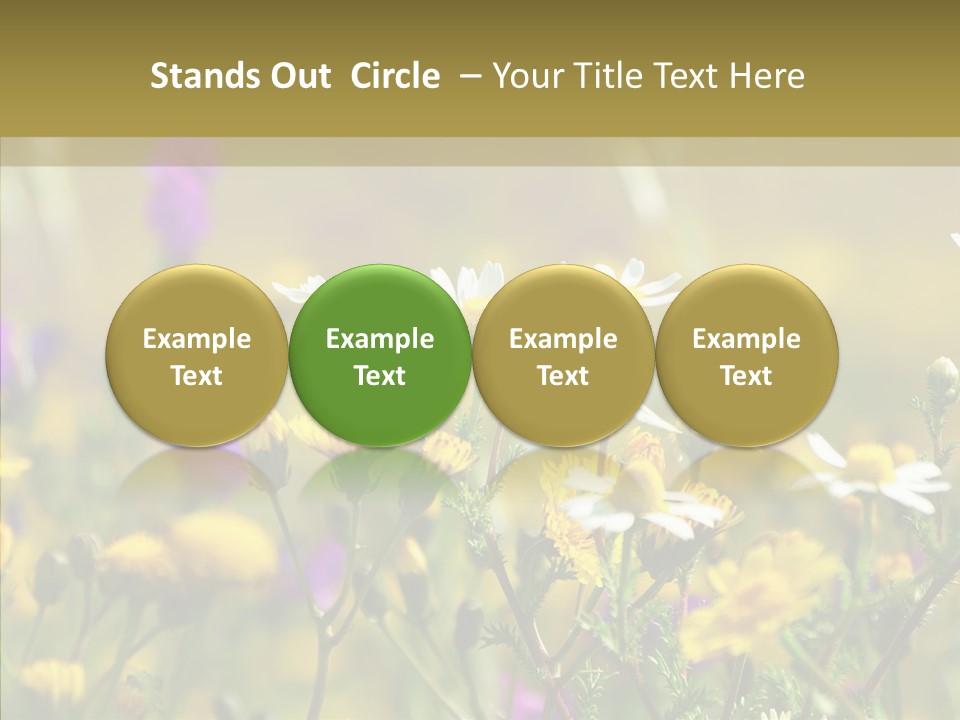 Meadow Macro Growth PowerPoint Template