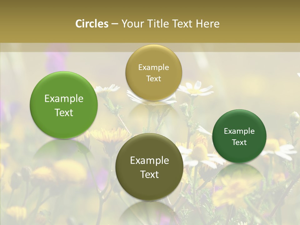 Meadow Macro Growth PowerPoint Template