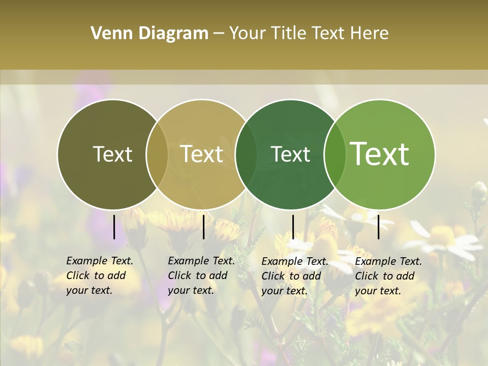 Meadow Macro Growth PowerPoint Template