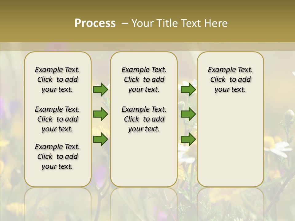 Meadow Macro Growth PowerPoint Template