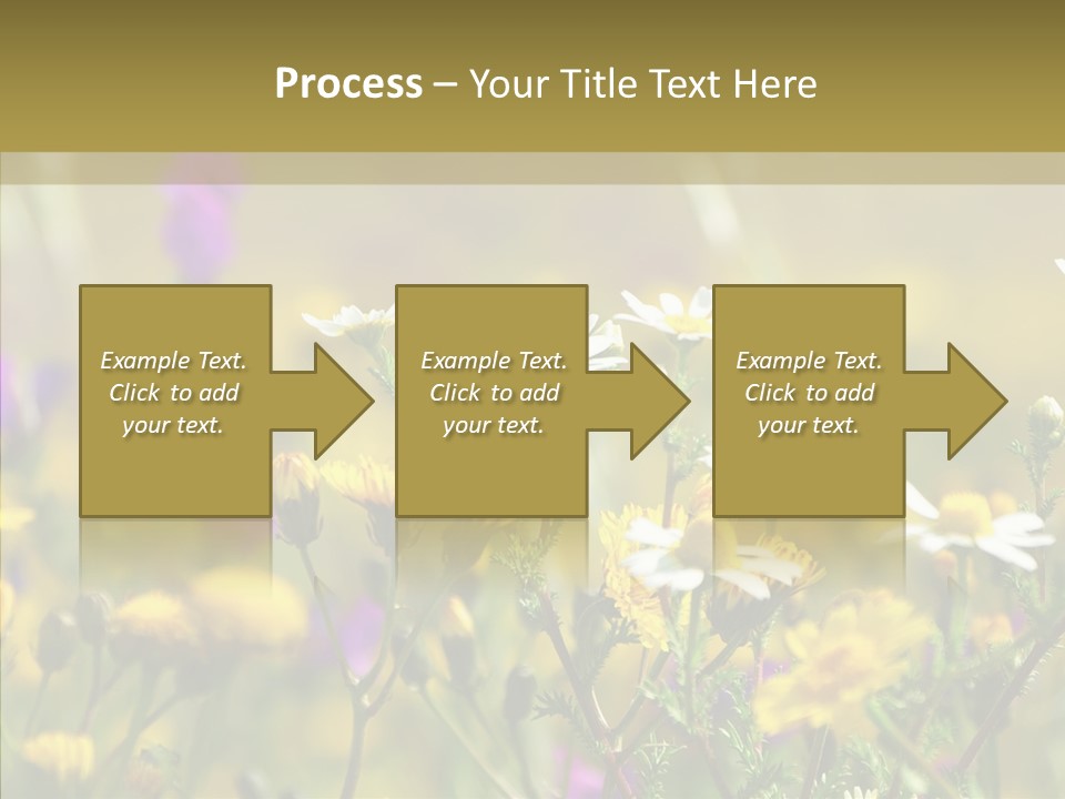 Meadow Macro Growth PowerPoint Template