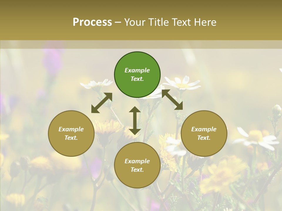 Meadow Macro Growth PowerPoint Template