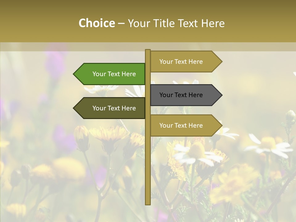 Meadow Macro Growth PowerPoint Template