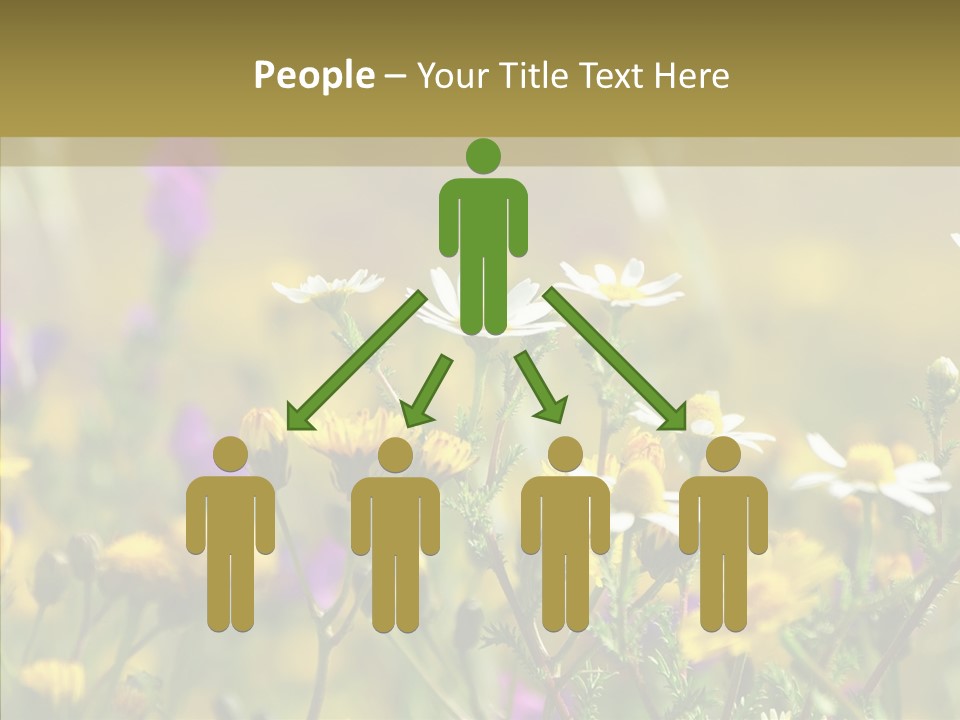 Meadow Macro Growth PowerPoint Template