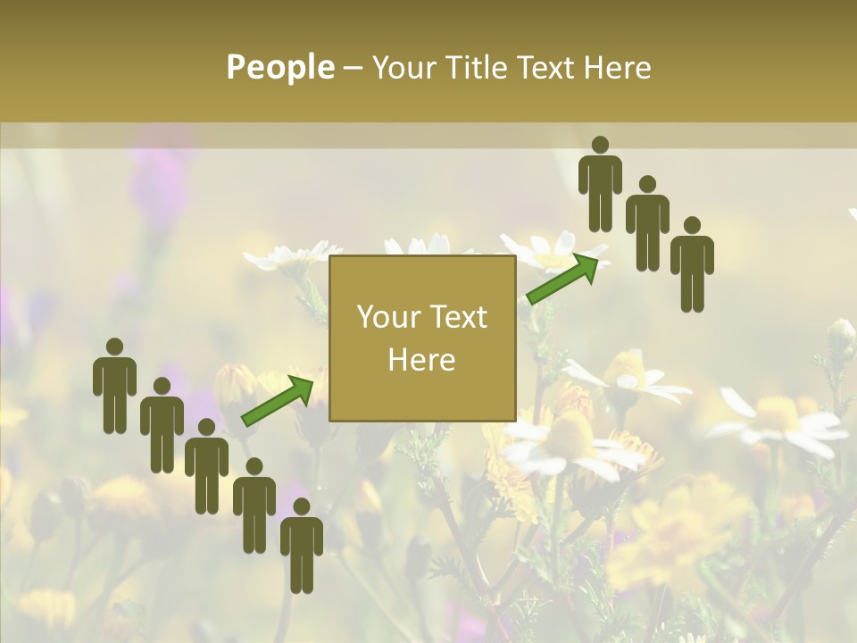 Meadow Macro Growth PowerPoint Template