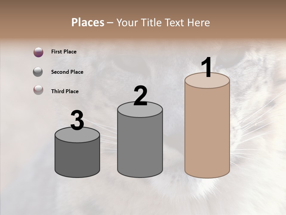 Mammal Zoo Portrait PowerPoint Template
