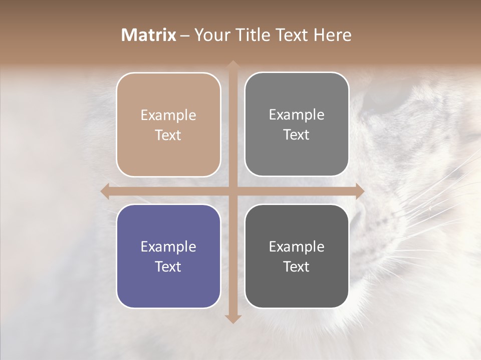 Mammal Zoo Portrait PowerPoint Template