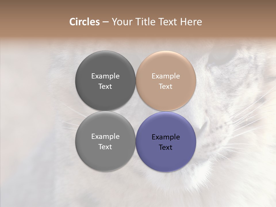 Mammal Zoo Portrait PowerPoint Template