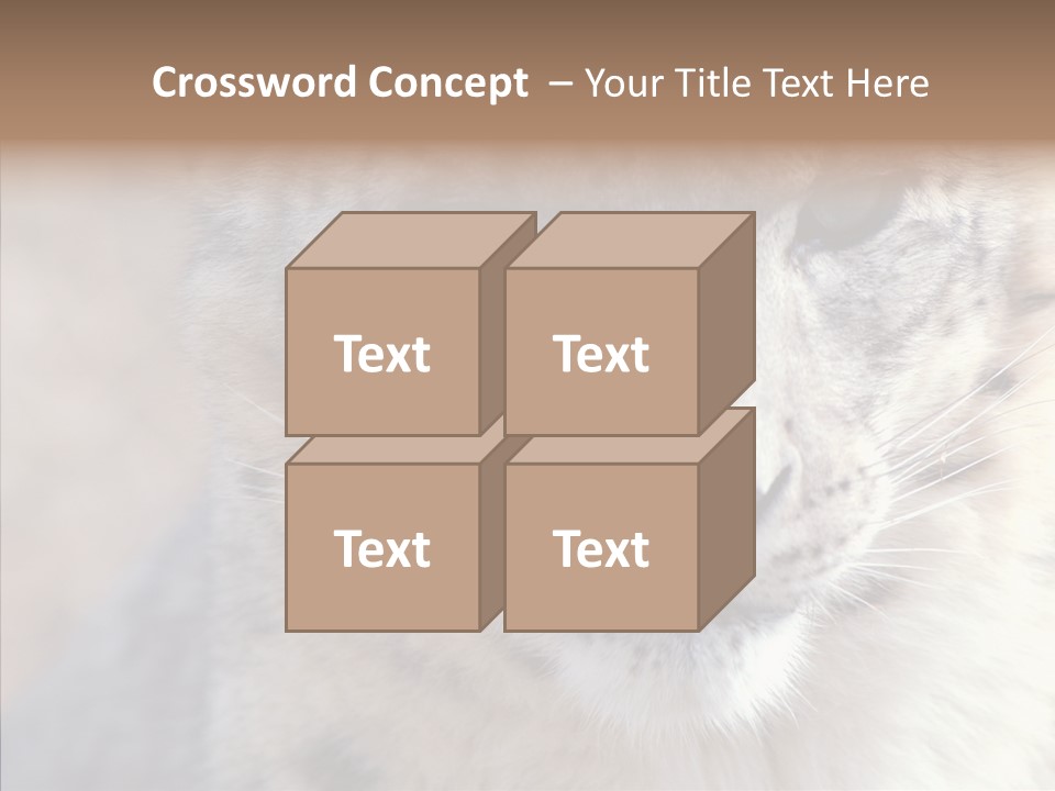 Mammal Zoo Portrait PowerPoint Template