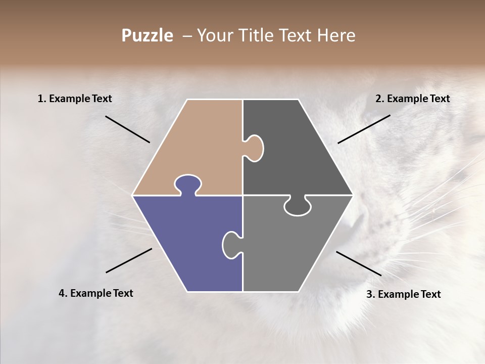 Mammal Zoo Portrait PowerPoint Template