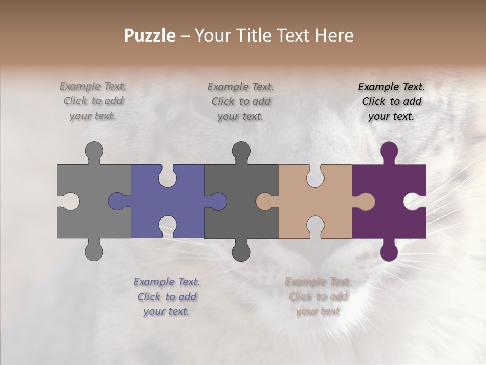 Mammal Zoo Portrait PowerPoint Template