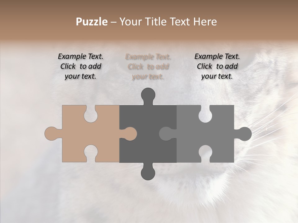 Mammal Zoo Portrait PowerPoint Template