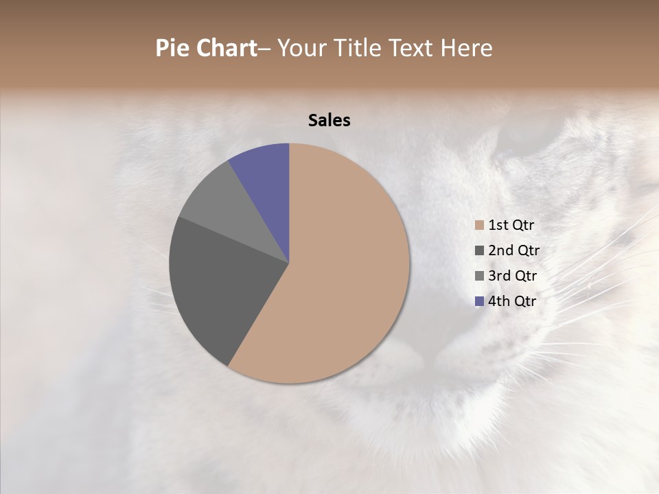Mammal Zoo Portrait PowerPoint Template