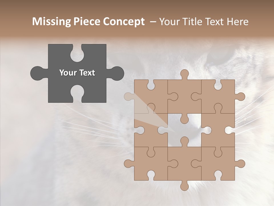 Mammal Zoo Portrait PowerPoint Template