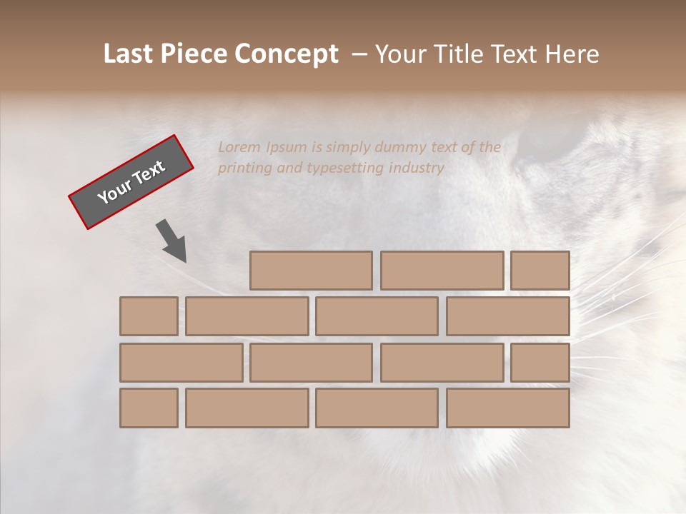 Mammal Zoo Portrait PowerPoint Template