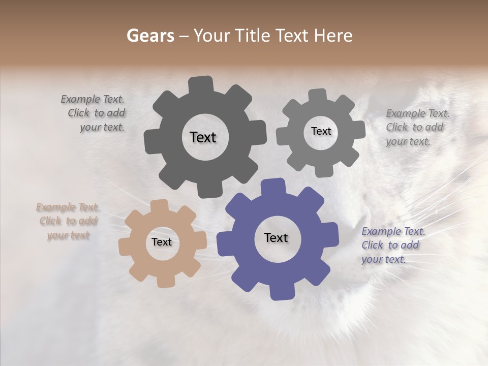 Mammal Zoo Portrait PowerPoint Template