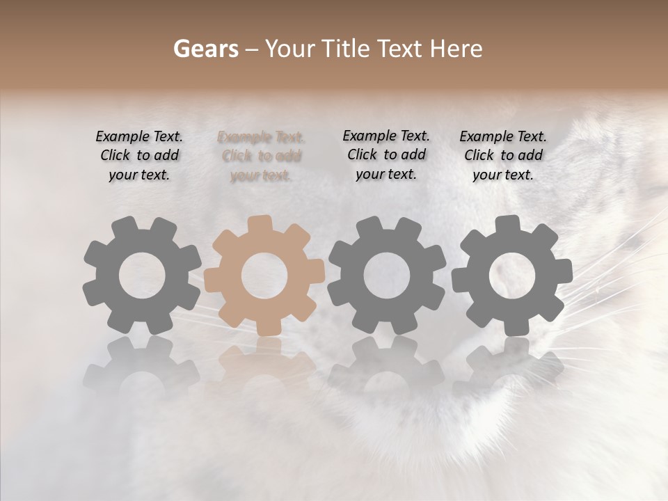 Mammal Zoo Portrait PowerPoint Template