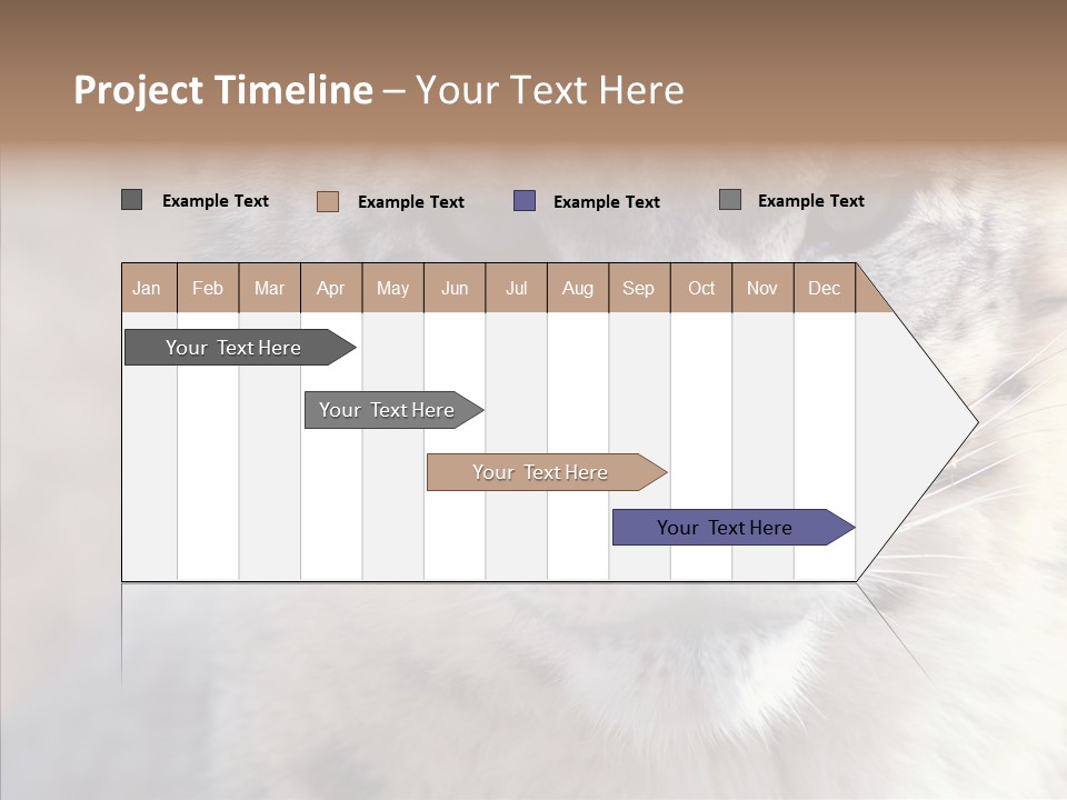 Mammal Zoo Portrait PowerPoint Template