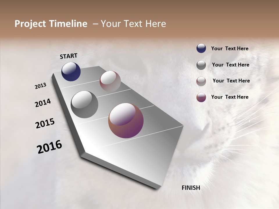 Mammal Zoo Portrait PowerPoint Template