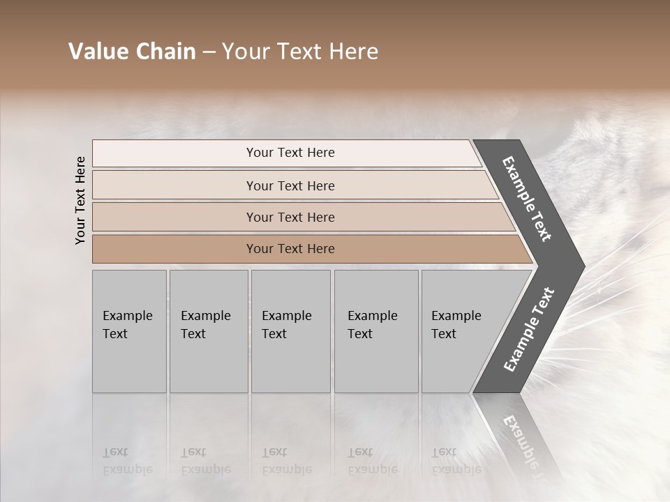 Mammal Zoo Portrait PowerPoint Template