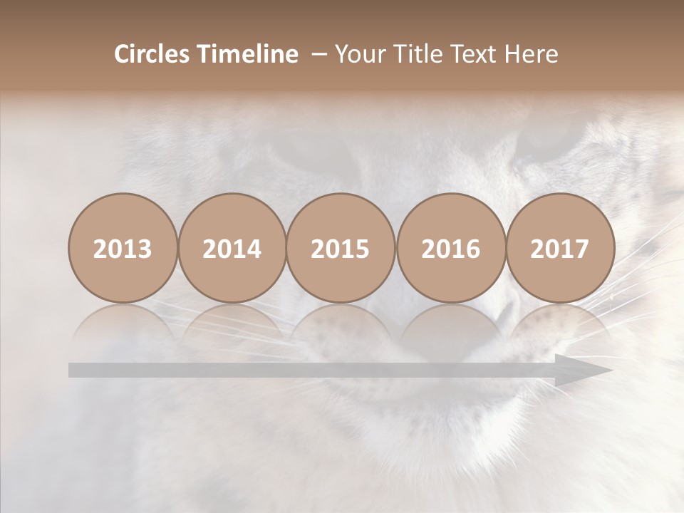 Mammal Zoo Portrait PowerPoint Template
