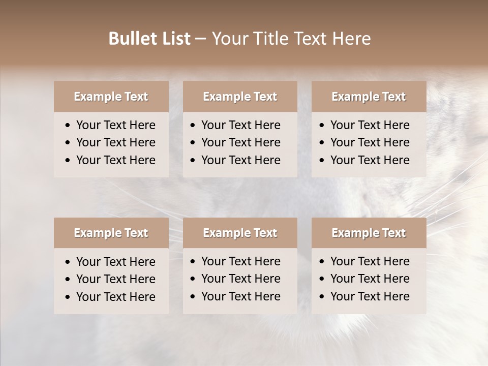 Mammal Zoo Portrait PowerPoint Template