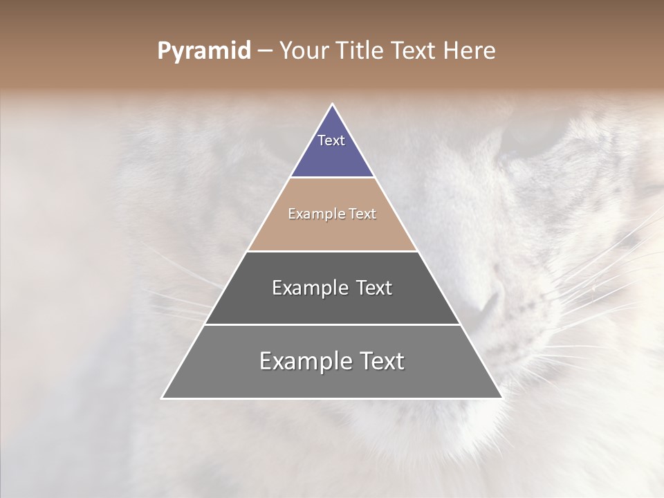 Mammal Zoo Portrait PowerPoint Template
