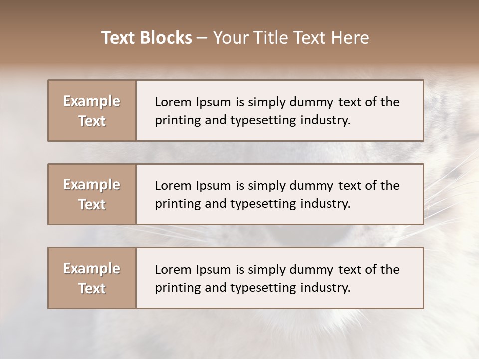 Mammal Zoo Portrait PowerPoint Template