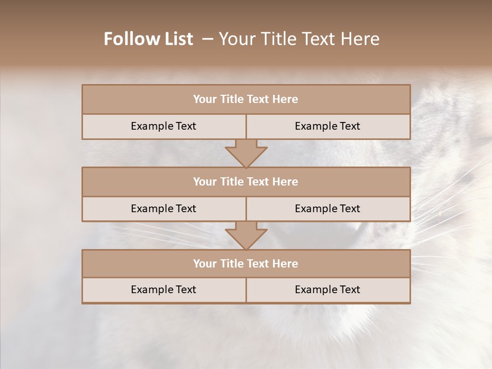 Mammal Zoo Portrait PowerPoint Template
