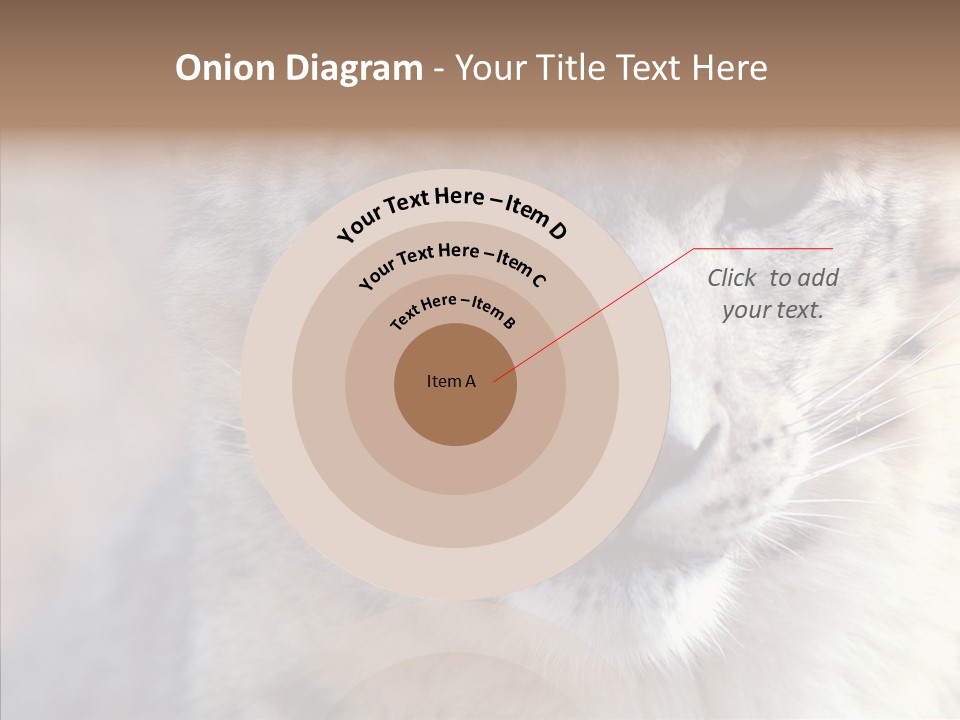 Mammal Zoo Portrait PowerPoint Template