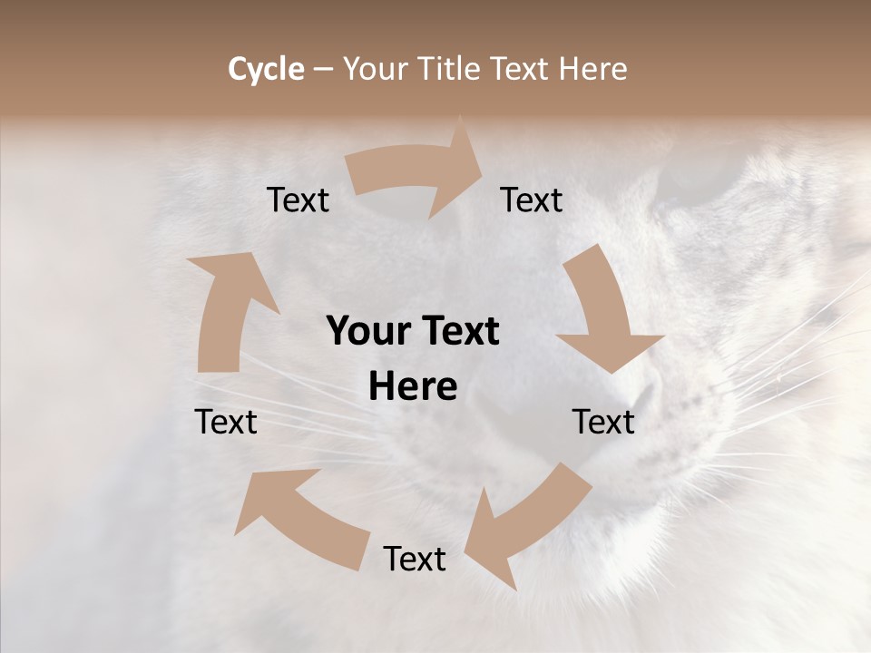 Mammal Zoo Portrait PowerPoint Template