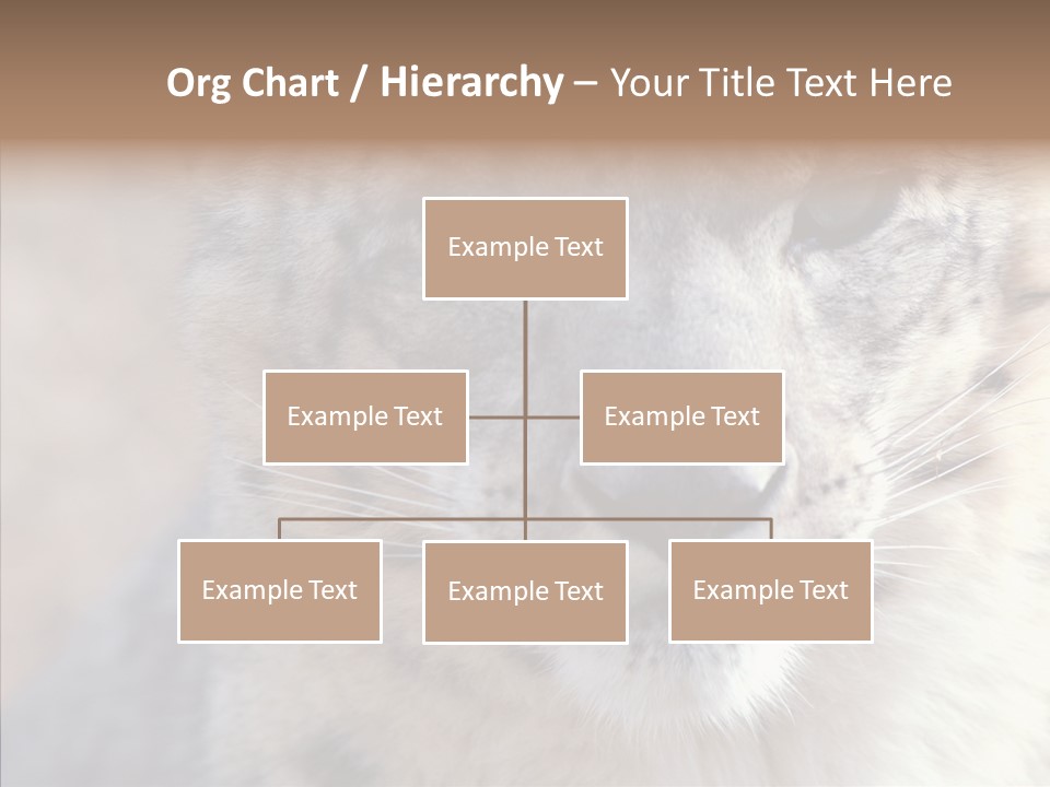 Mammal Zoo Portrait PowerPoint Template