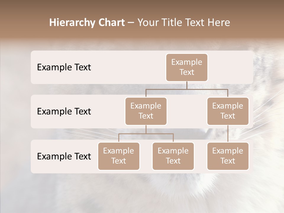 Mammal Zoo Portrait PowerPoint Template