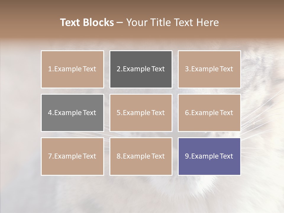 Mammal Zoo Portrait PowerPoint Template