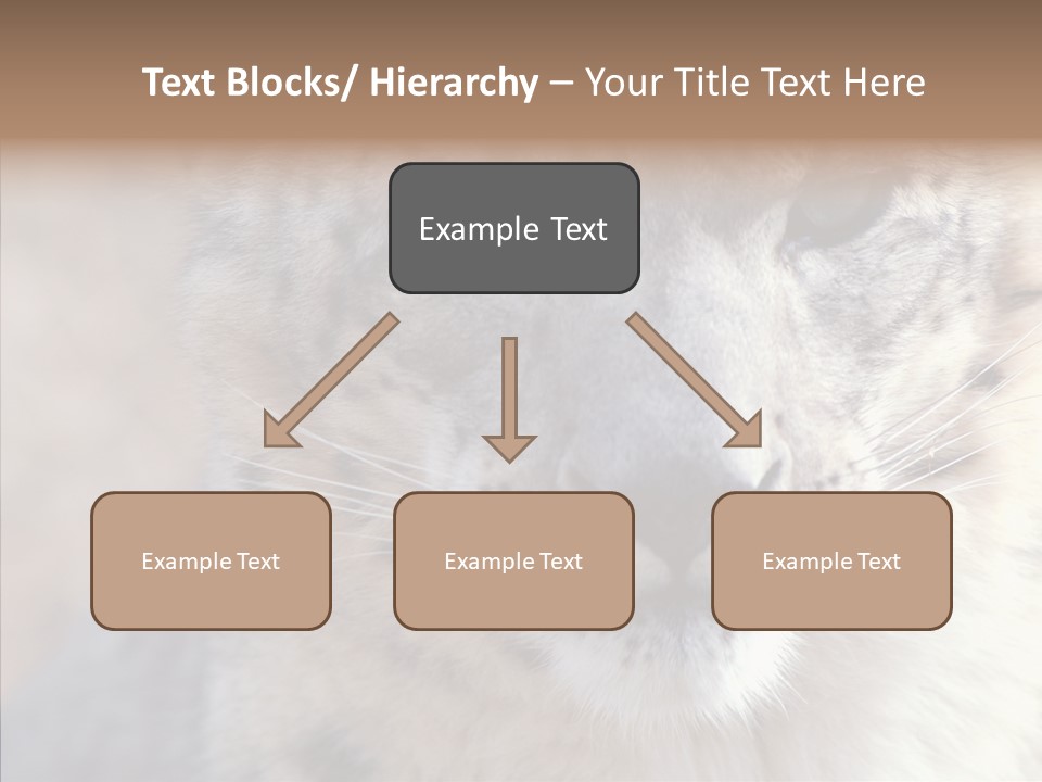 Mammal Zoo Portrait PowerPoint Template