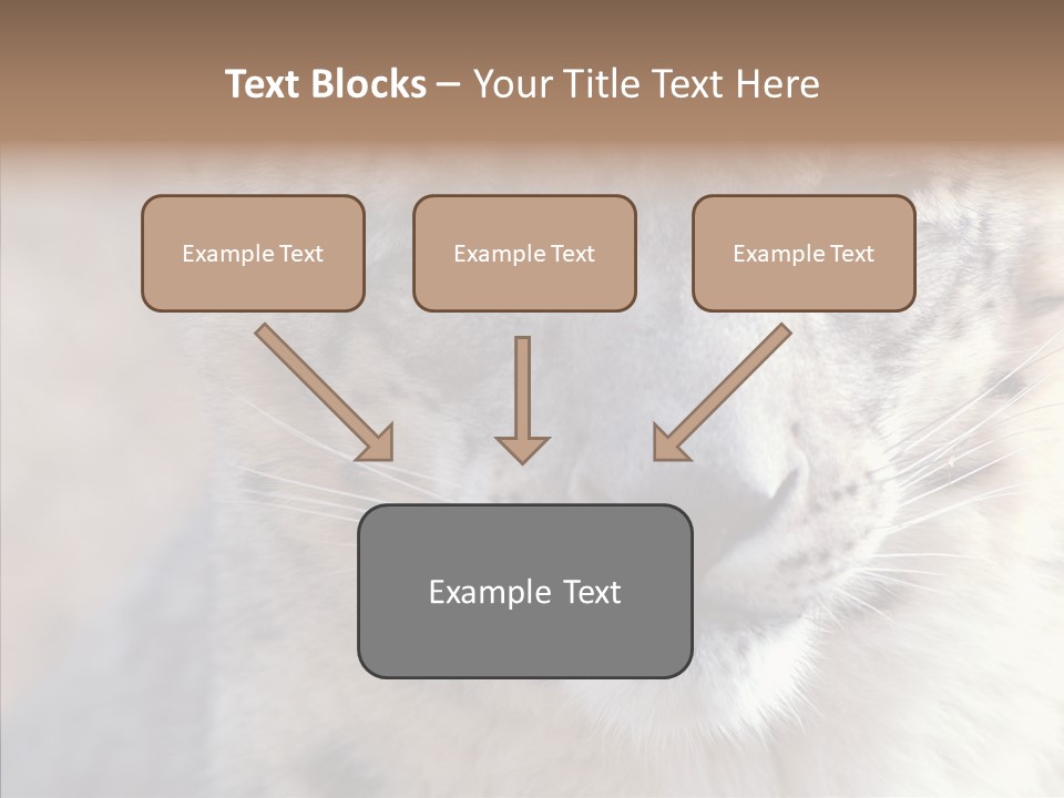 Mammal Zoo Portrait PowerPoint Template