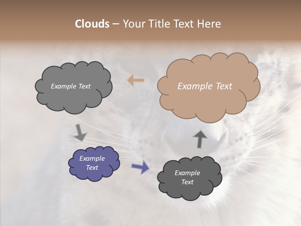 Mammal Zoo Portrait PowerPoint Template
