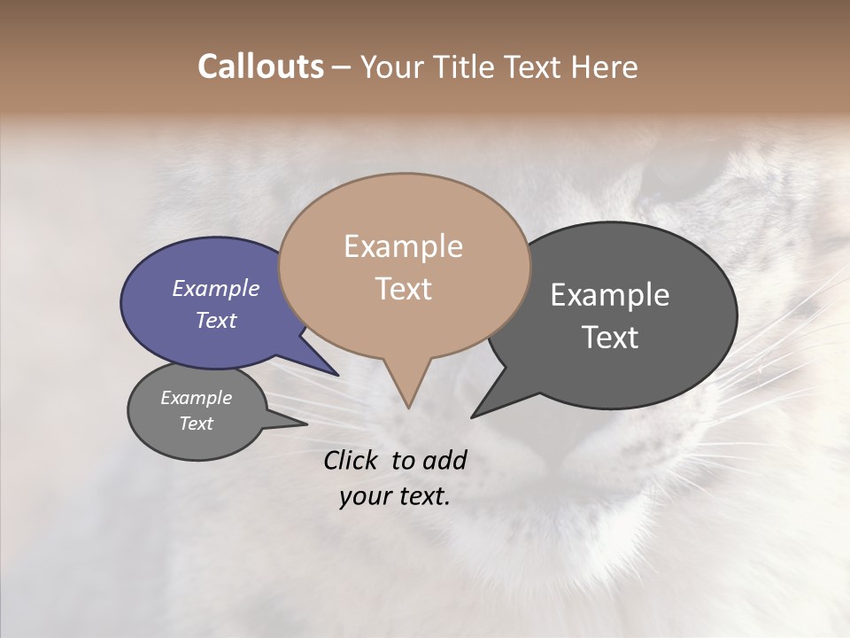 Mammal Zoo Portrait PowerPoint Template