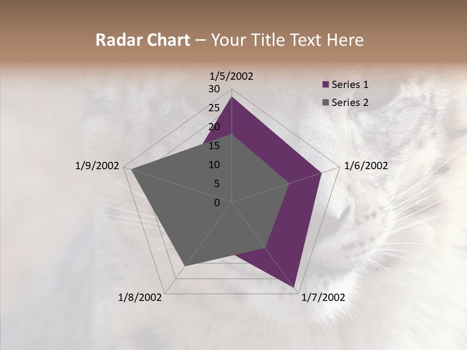 Mammal Zoo Portrait PowerPoint Template