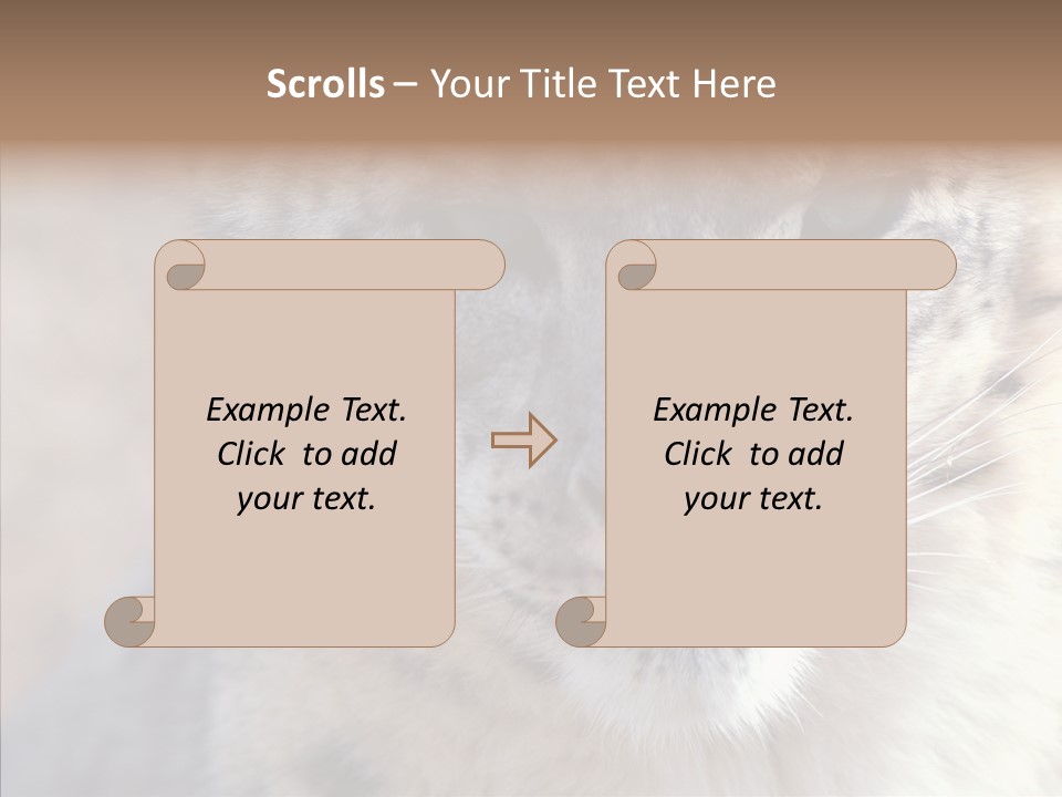 Mammal Zoo Portrait PowerPoint Template
