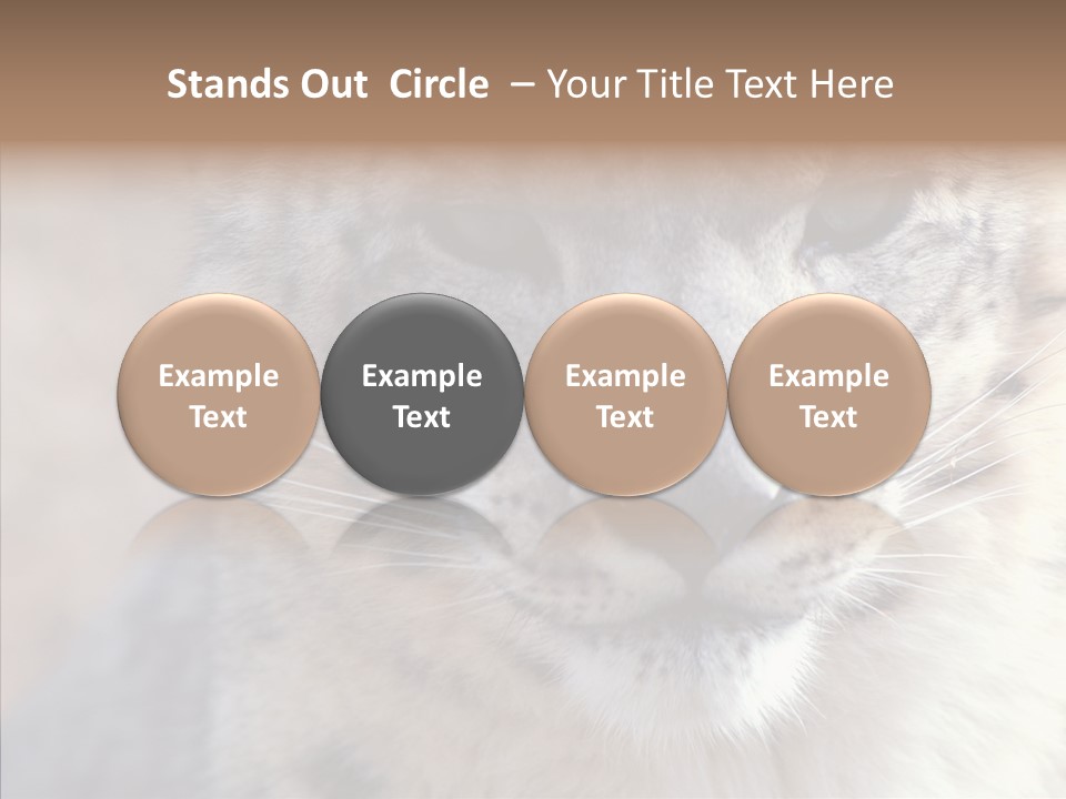 Mammal Zoo Portrait PowerPoint Template