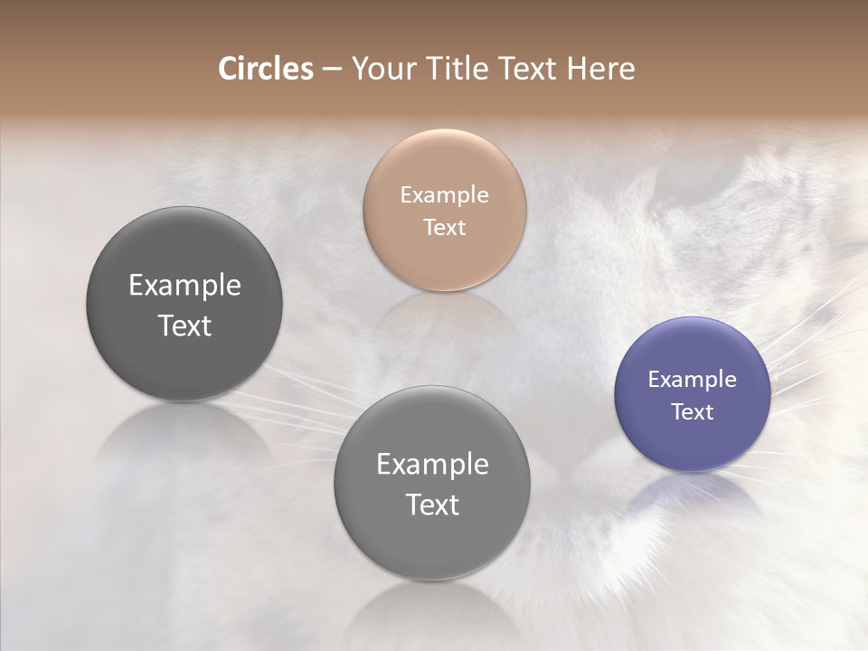 Mammal Zoo Portrait PowerPoint Template