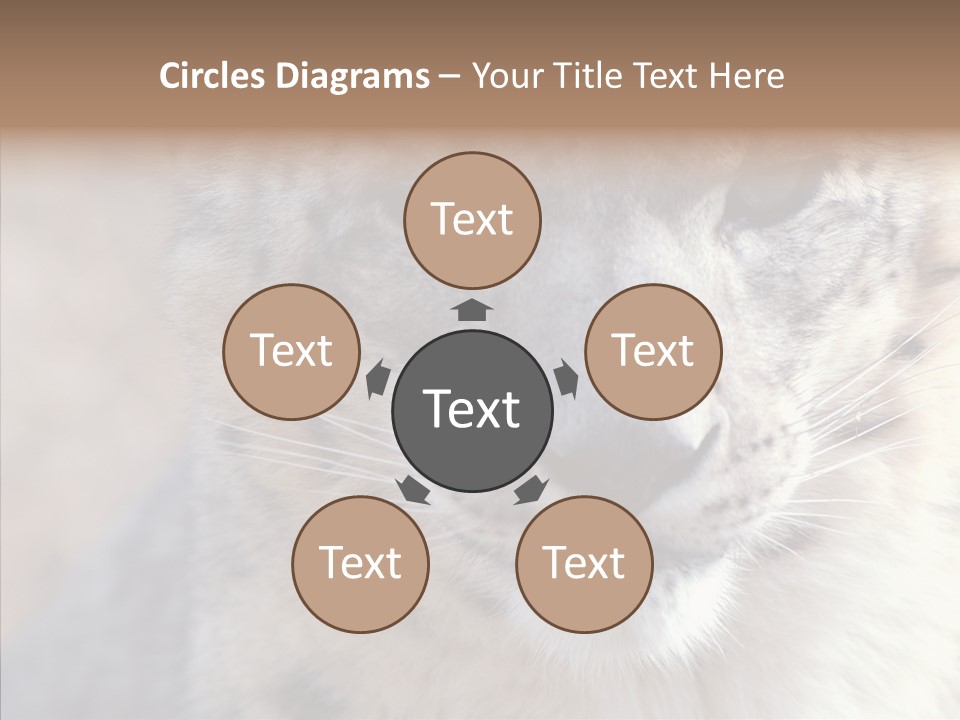 Mammal Zoo Portrait PowerPoint Template