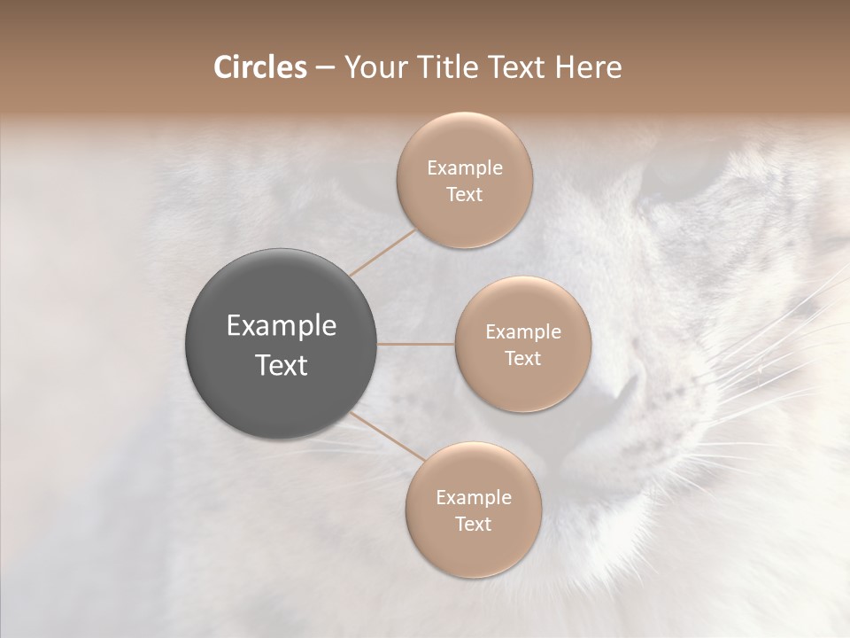 Mammal Zoo Portrait PowerPoint Template