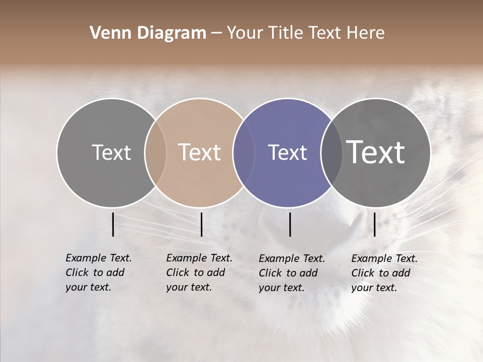 Mammal Zoo Portrait PowerPoint Template