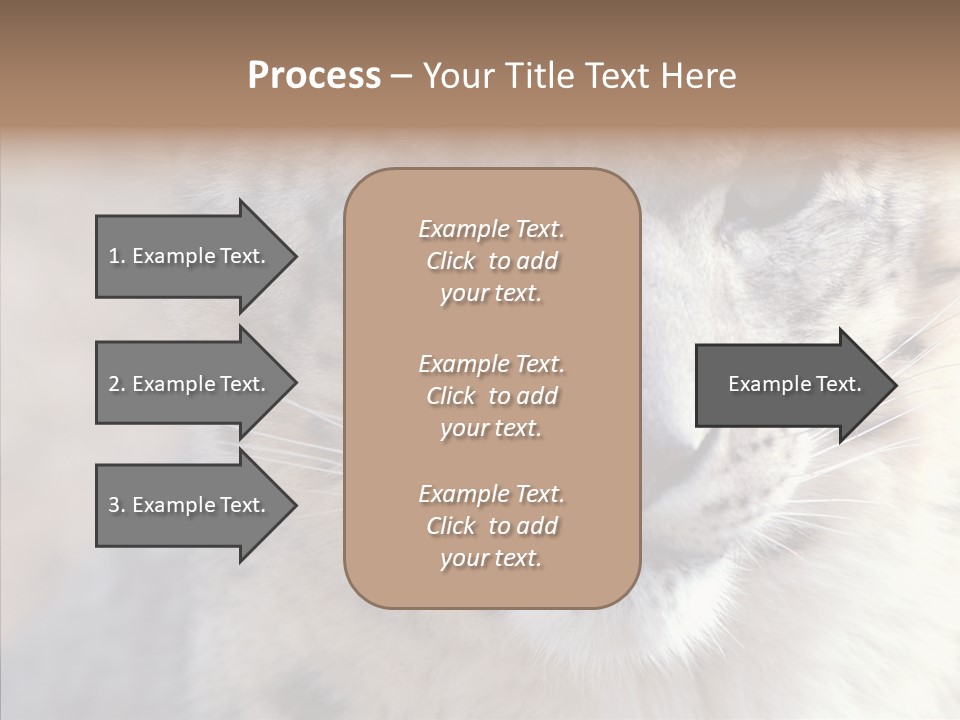 Mammal Zoo Portrait PowerPoint Template