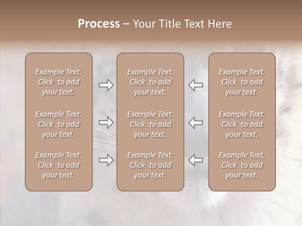 Mammal Zoo Portrait PowerPoint Template