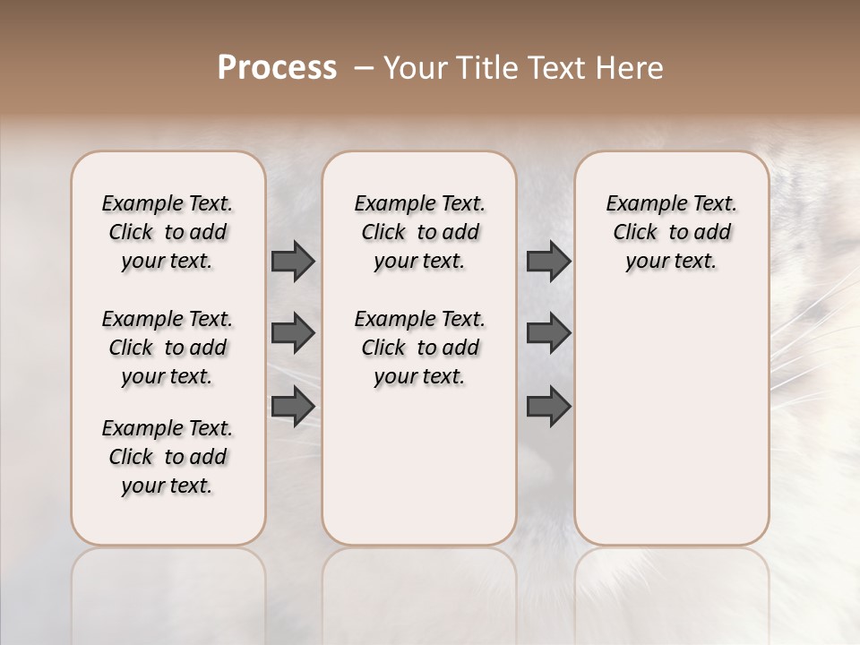 Mammal Zoo Portrait PowerPoint Template