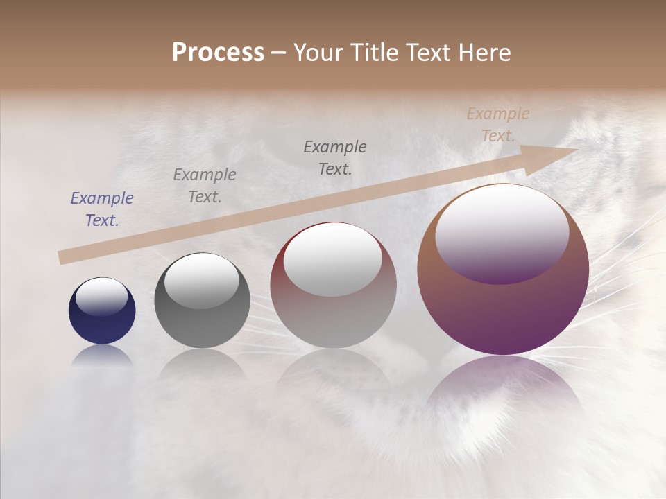 Mammal Zoo Portrait PowerPoint Template