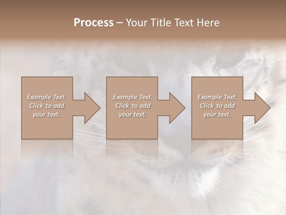 Mammal Zoo Portrait PowerPoint Template